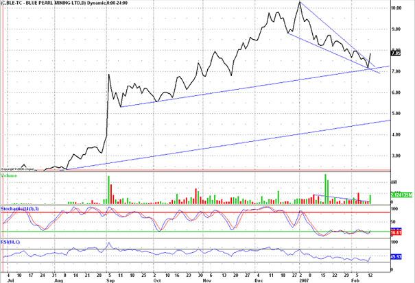Thompson Creek Metals (Blue Pearl Mng) 82320