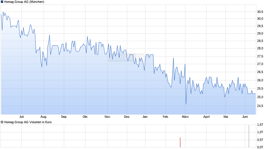 Homag Group Chart