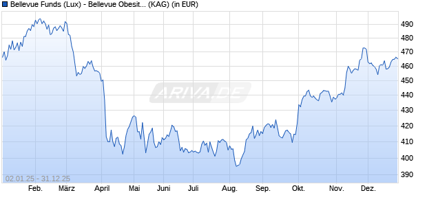 Performance des Bellevue Funds (Lux) - Bellevue Obesity Solutions B USD (WKN A0RPSP, ISIN LU0415392322)