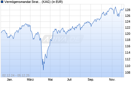 Performance des Vermögensmandat Strategie Wachstum (WKN A1110F, ISIN DE000A1110F2)
