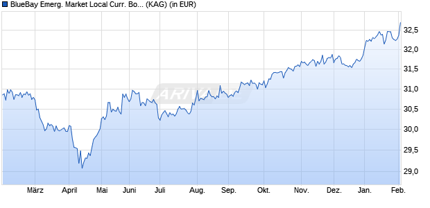 Performance des BlueBay Emerg. Market Local Curr. Bond Fund R USD (AIDiv) (WKN A0QYZ5, ISIN LU0357315554)