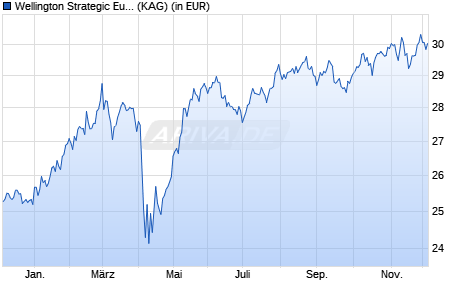 Performance des Wellington Strategic European Equity Fund USD S AccH (WKN A1404R, ISIN IE00BYTC0C66)