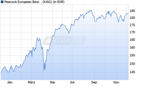 Performance des Peacock European Best Value ESG Fonds R (a) (WKN A12BRQ, ISIN DE000A12BRQ8)