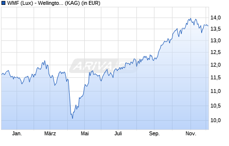 Performance des WMF (Lux) - Wellington Em. Mkts Research Eqty EUR D Acc (WKN A2DWNC, ISIN LU1672149751)