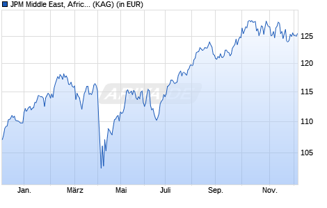 Performance des JPM Middle East, Africa and Emerging Europe Opp. C dist USD (ISIN LU2539337803)