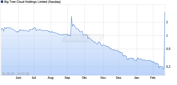 Big Tree Cloud Holdings Limited Aktie Chart