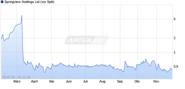 Springview (vor Split) Aktie Chart