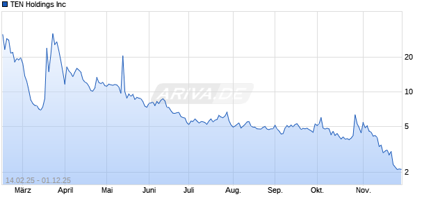 TEN Holdings Inc Chart