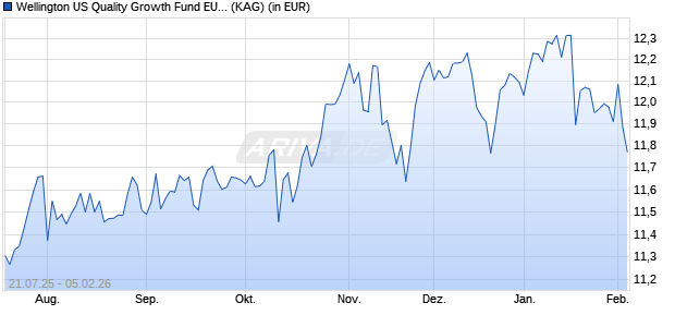 Performance des Wellington US Quality Growth Fund EUR N AccU (ISIN LU2793262457)