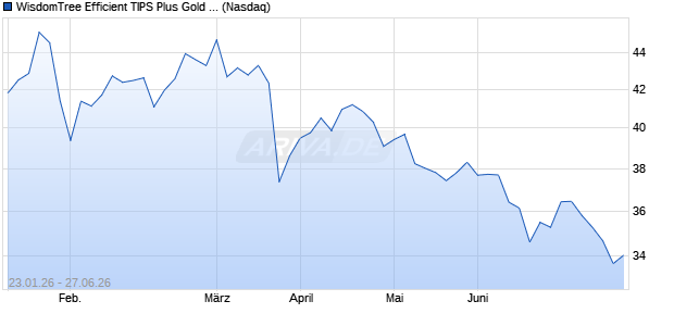 WisdomTree Efficient TIPS Plus Gold Fund Aktie Chart