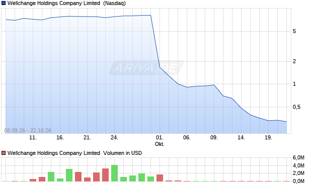 Wellchange Holdings Company Limited Aktie Chart
