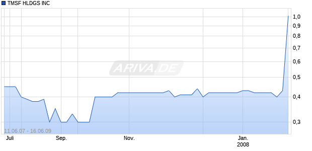 TMSF HLDGS INC Chart