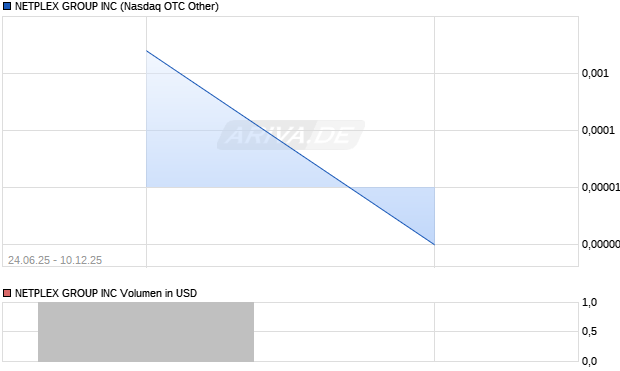 NETPLEX GROUP Aktie Chart