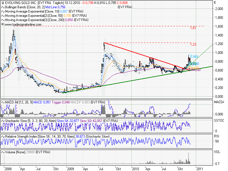 Der nächste Zock Evolving Gold 365041