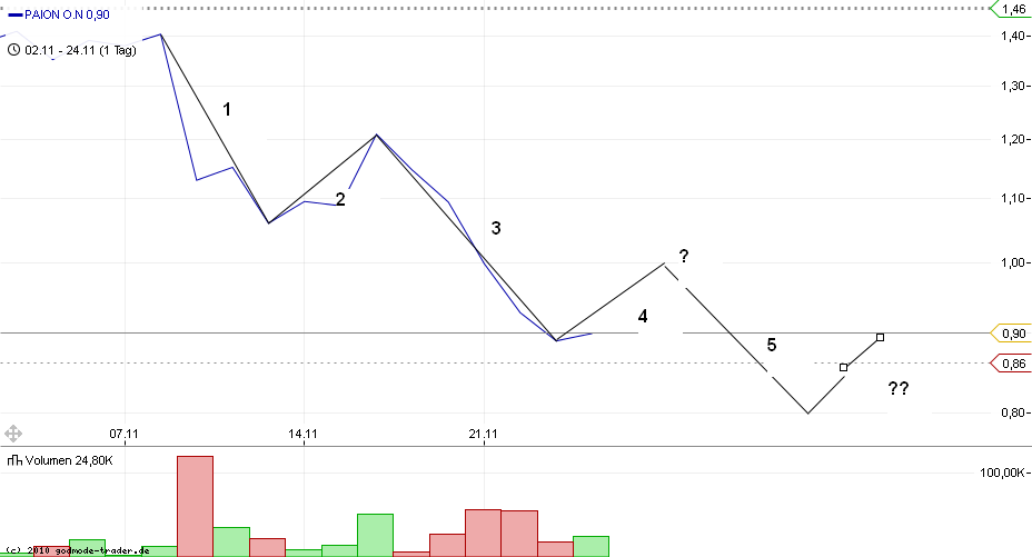 PAION Eine Fledermaus lernt wieder fliegen 460751