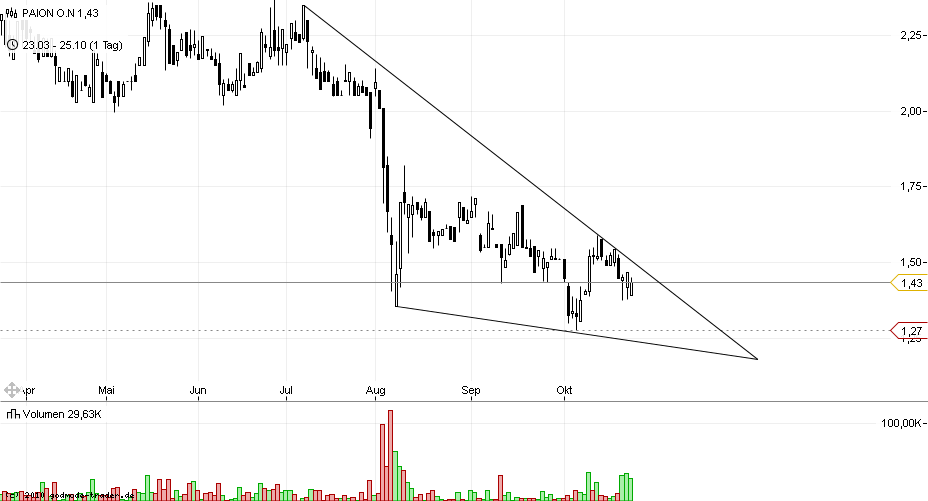 PAION Eine Fledermaus lernt wieder fliegen 451367