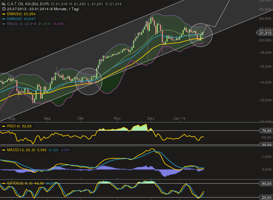 C.A.T. Oil - Die Katze überschlägt sich fast 685462