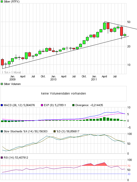 Silber - quo vadis 2011 446490