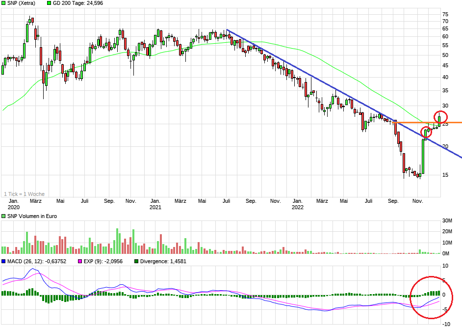 SNP auf dem Weg zu einer software company 1348937
