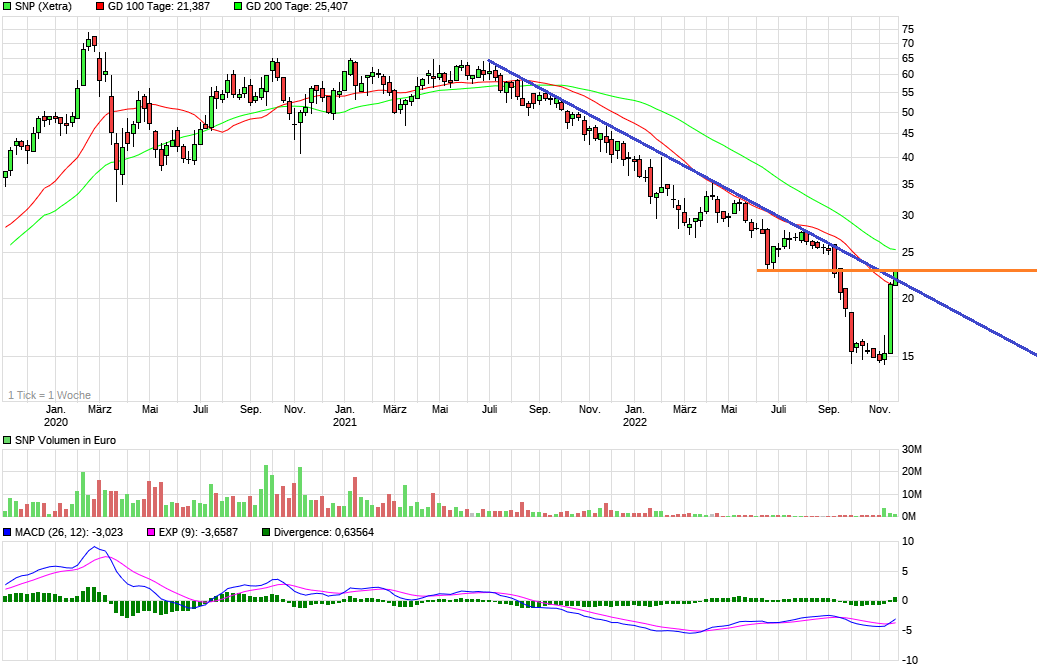 SNP auf dem Weg zu einer software company 1343290