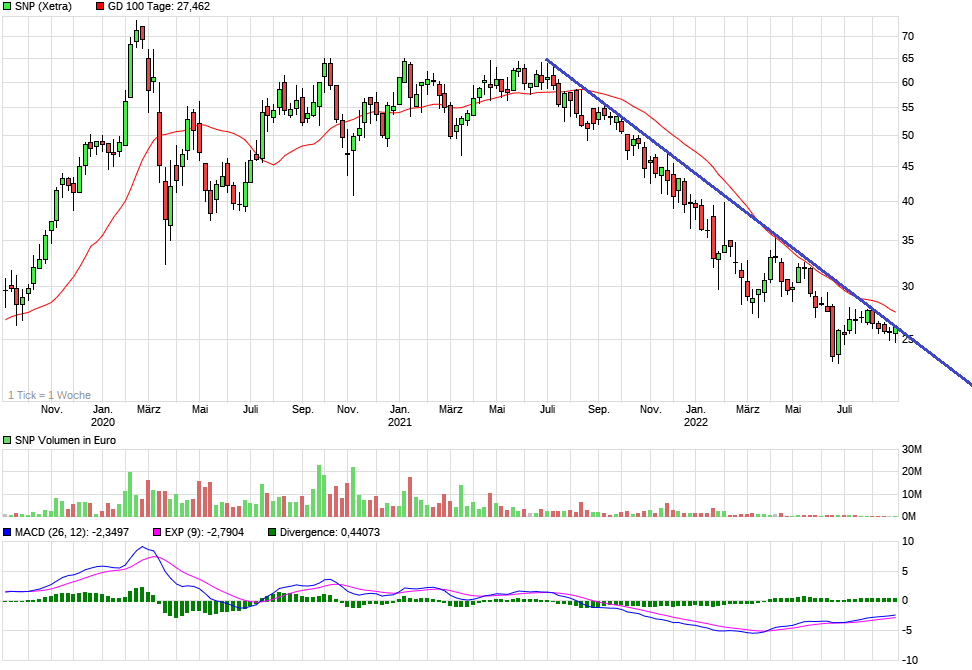 SNP auf dem Weg zu einer software company 1330702