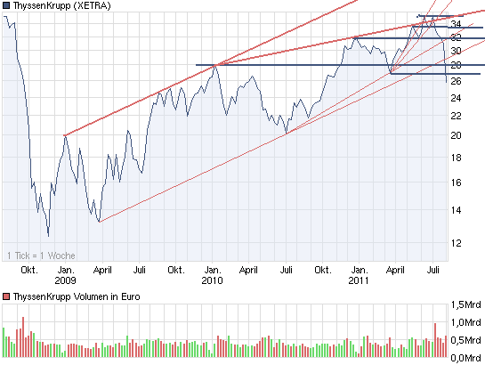 Bear Zocks - daily 427028