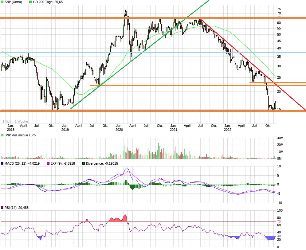 SNP auf dem Weg zu einer software company 1342421