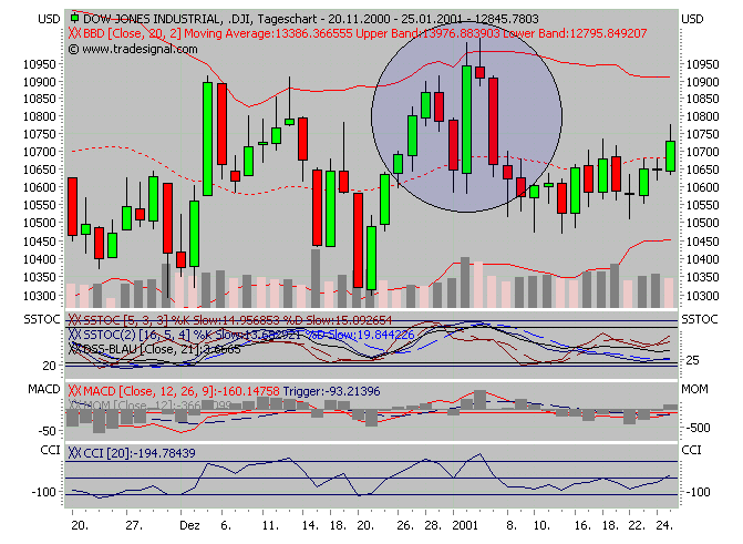 Der USA Bären-Thread 115126