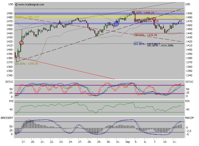 Der USA Bären-Thread 119738