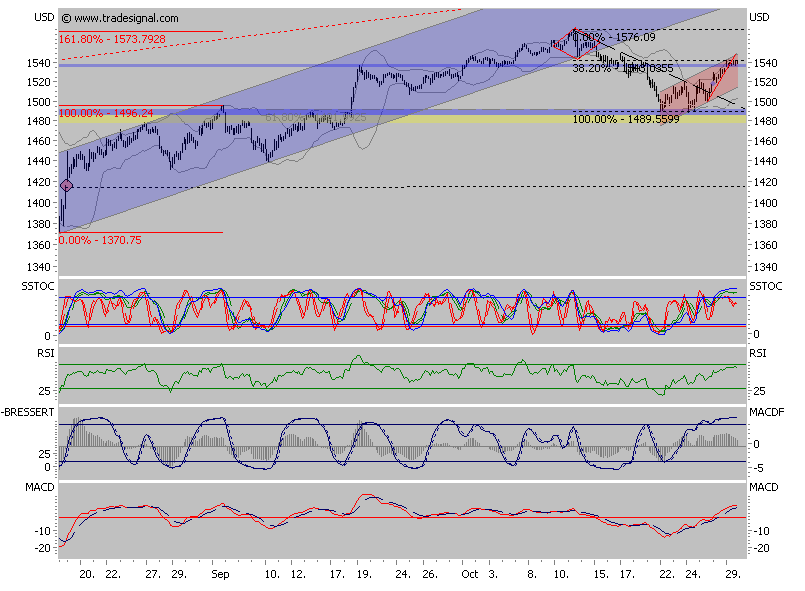 Der USA Bären-Thread 128526