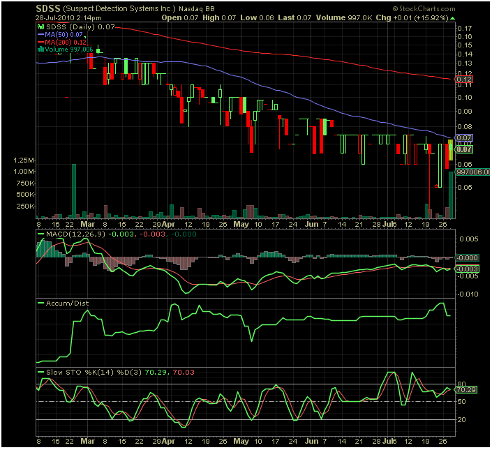 SDSS - Die Zukunft der ... 334652