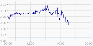 Kursziel 1 USD bis 31.12.2010 334833