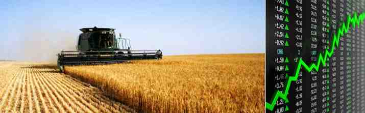 Tonkens Agrar Aktie 337793