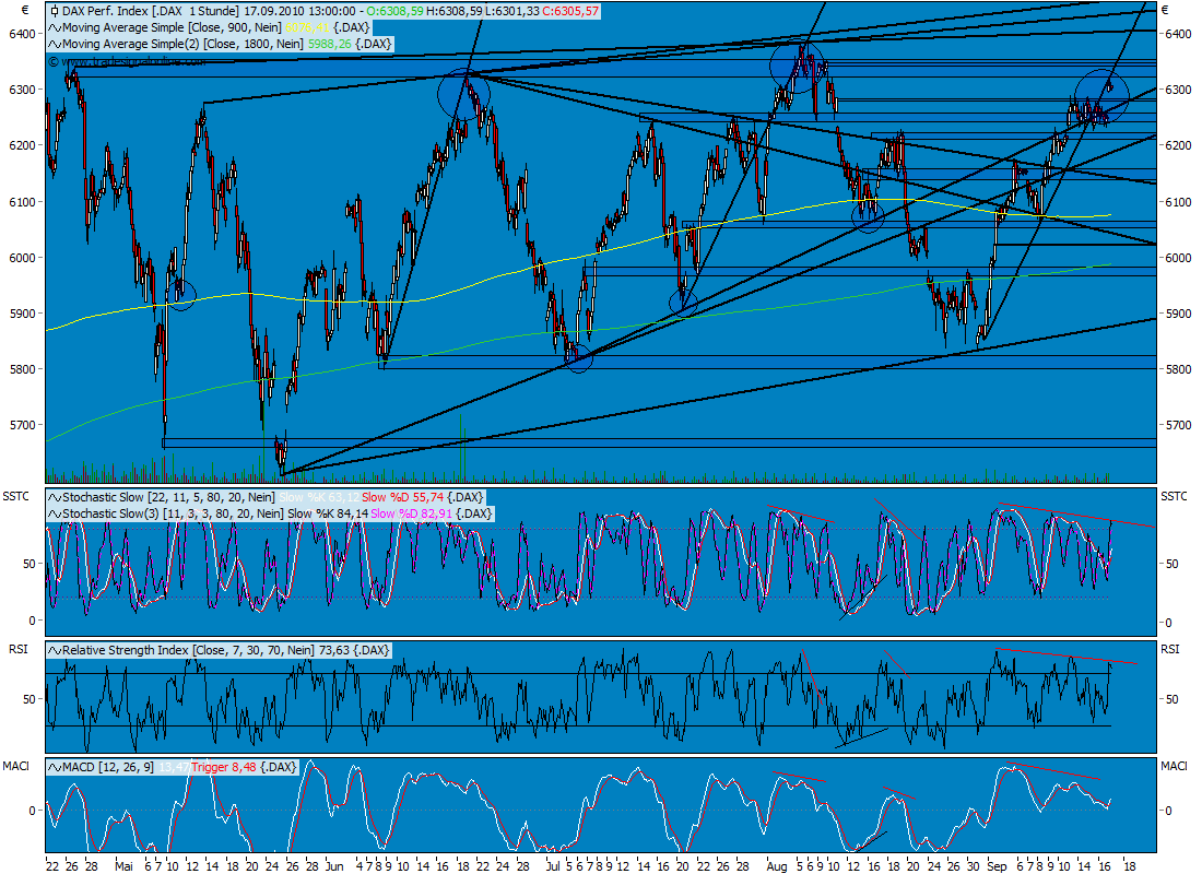 Die Bullen scharren gar nicht mit den Hufen, 345712