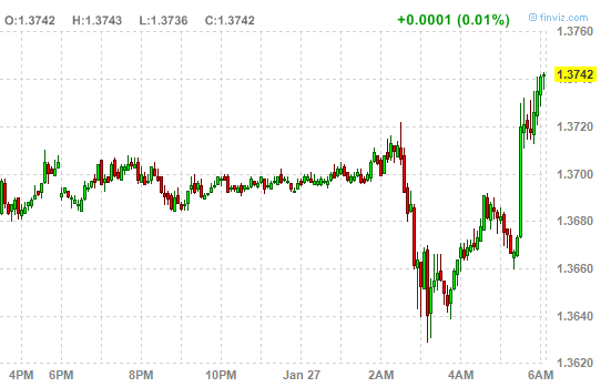 Der USA Bären-Thread 376095