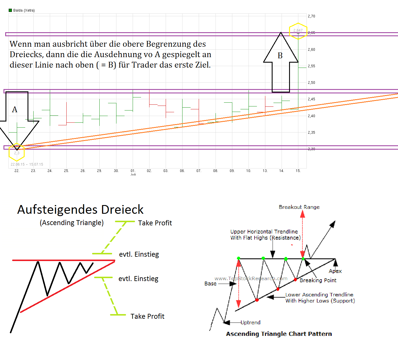 Balda schnelle 100 Prozent 841174