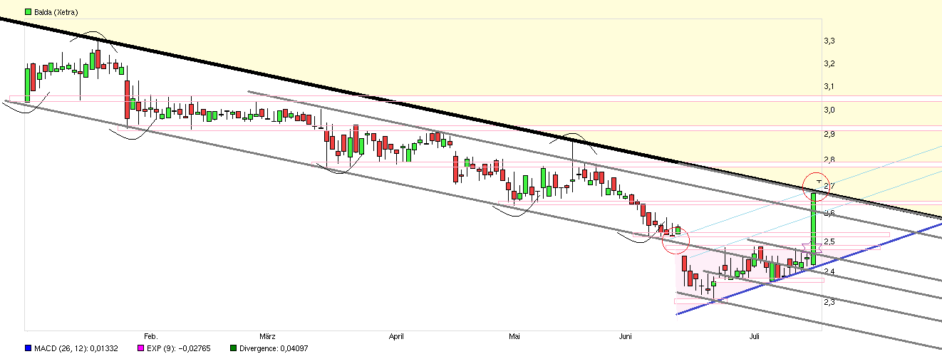 Balda schnelle 100 Prozent 841439