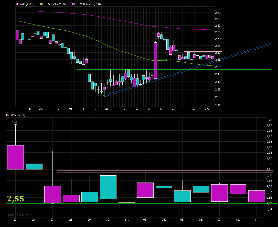 Balda schnelle 100 Prozent 848096