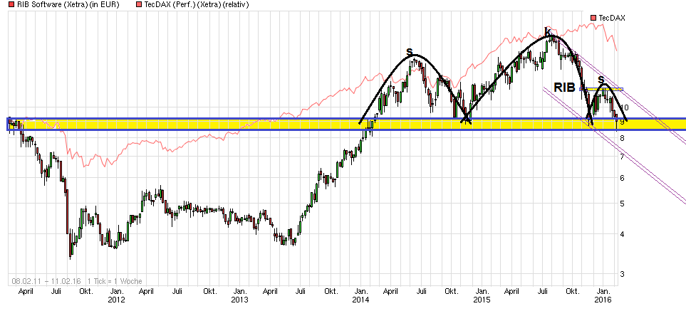 RIB Software AG 893222