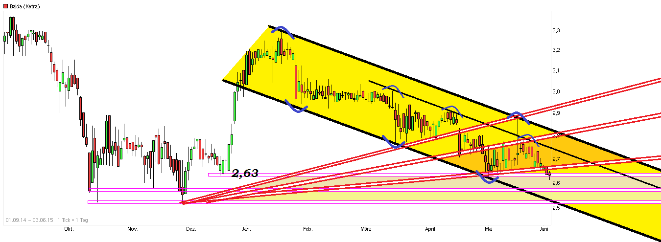 Balda schnelle 100 Prozent 830386
