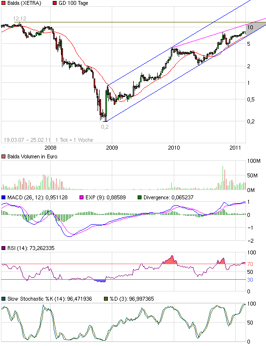 Balda schnelle 100 Prozent 384002