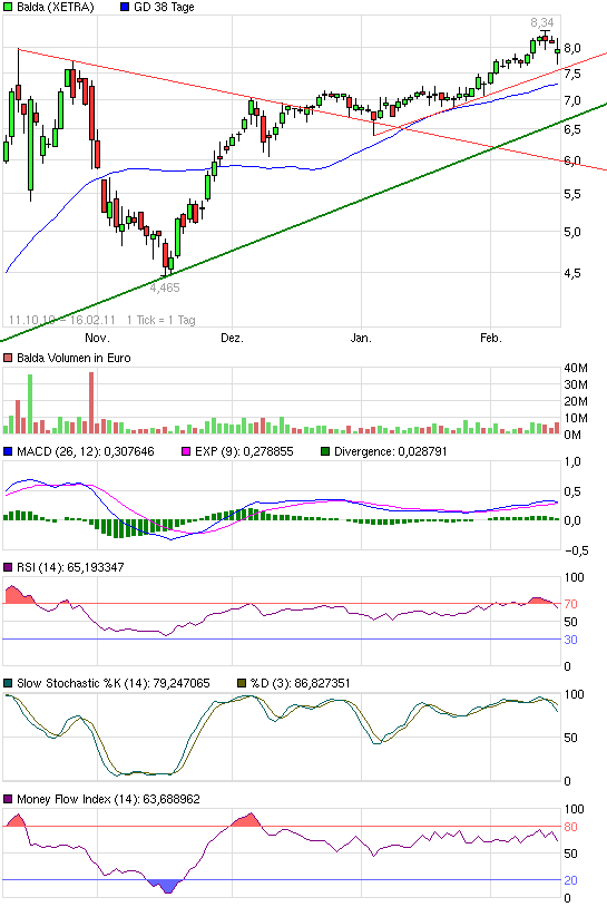 Balda schnelle 100 Prozent 381313