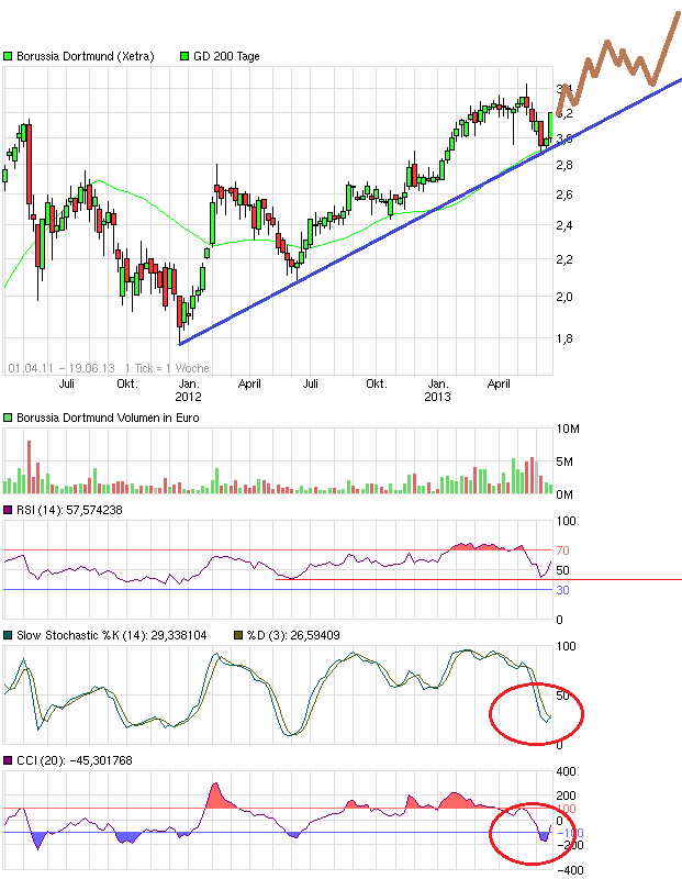 BVB Aktie & Fußball, Fakten und Meinungen 617046