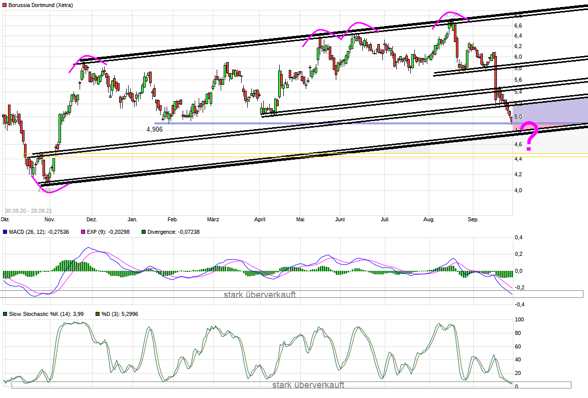14 Gründe für ein Investment in BVB. 1276231