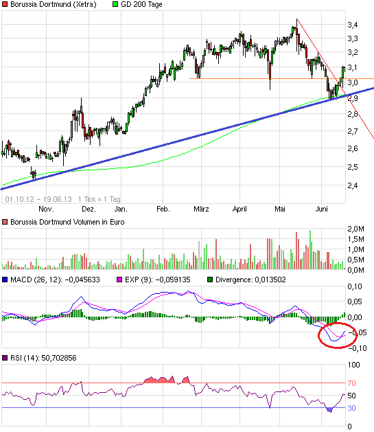 BVB Aktie & Fußball, Fakten und Meinungen 616901