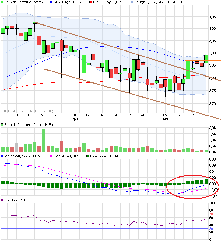 14 Gründe für ein Investment in BVB. 723641