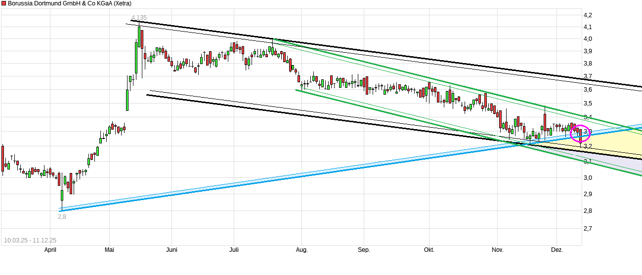 14 Gründe für ein Investment in BVB. 1505045