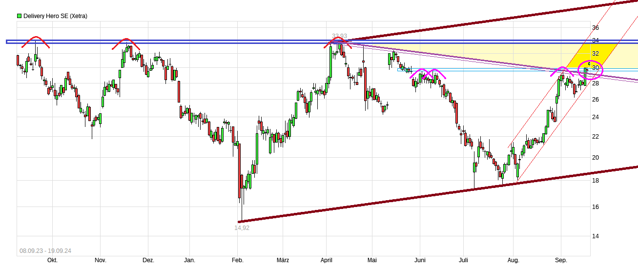 Delivery Hero SHORT gehen 1447930