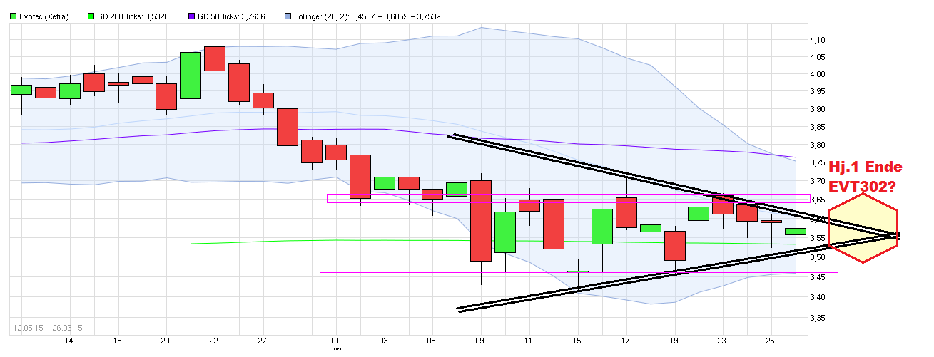 Forum 20 Plus - Evotec als Langfristinvest 836178