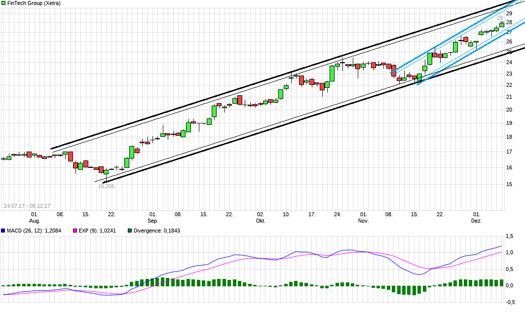 WKN 524960 - flatex geht an die Börse 1028883